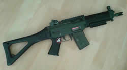 JG_sig552.jpg JG_sig552.jpg