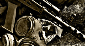 LCT Airsoft AMD-65