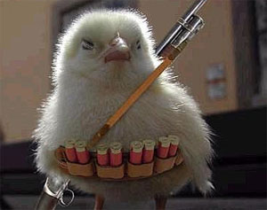 Rambo Twitter :)
