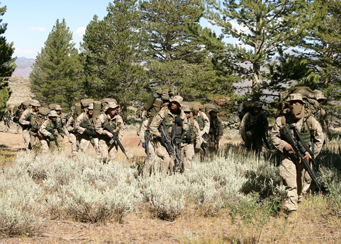 U.S. Marine Rifle Squad Gets Revamped With A Squad Systems Operator ...