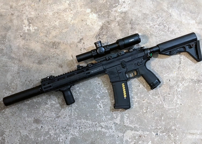TBW: Building The Ultimate Airsoft DMR