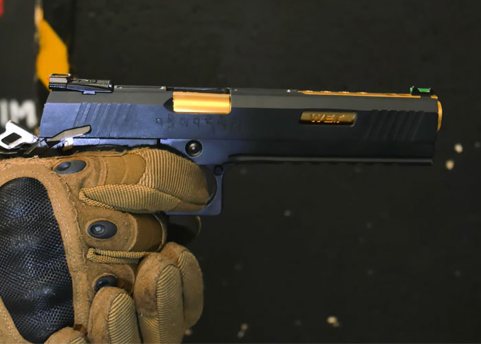 DTW Airsoft's WE Airsoft I-REX GBB Pistol Review