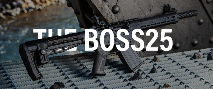 Citadel BOSS 25 02