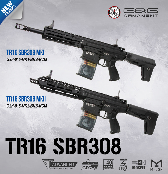 G&G Armament TR16 SBR 308 MK Series 02