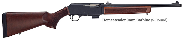 Henry Homesteader 03