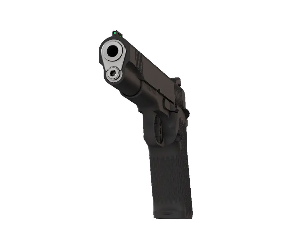 Stealth Arms Platypus 1911 05